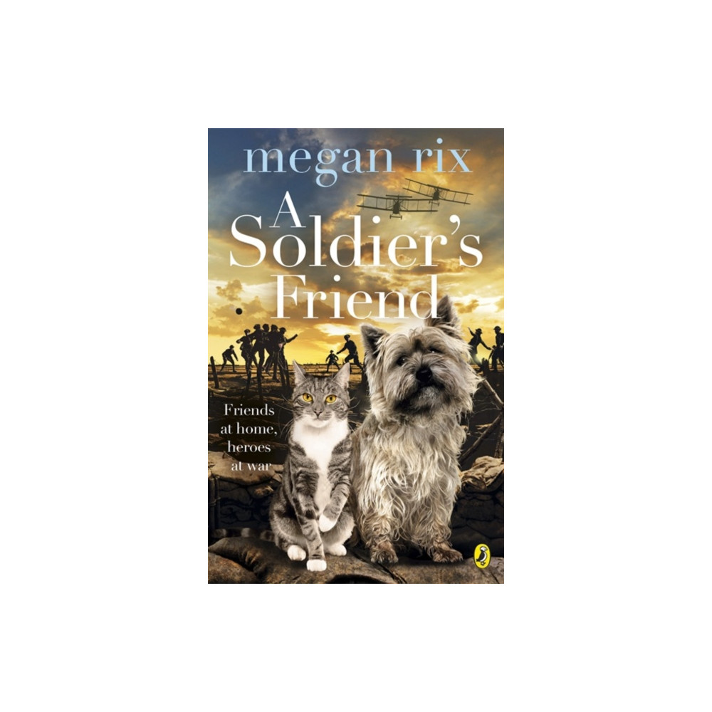 Produktbild för A Soldier's Friend (häftad, eng)