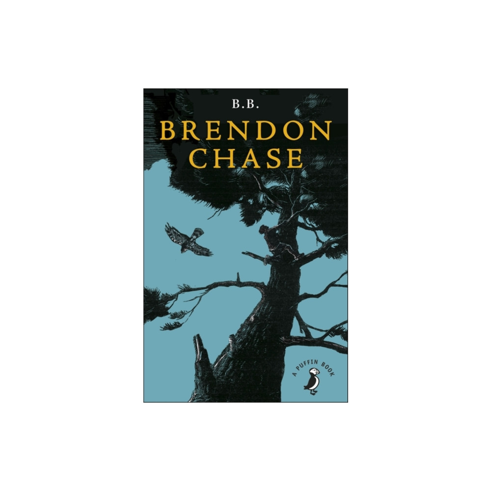 Produktbild för Brendon Chase (häftad, eng)