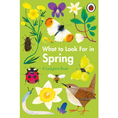 Penguin Random House Children's UK What to Look For in Spring (inbunden, eng)