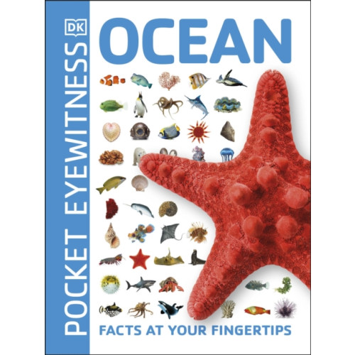 Dorling Kindersley Ltd Ocean (häftad, eng)