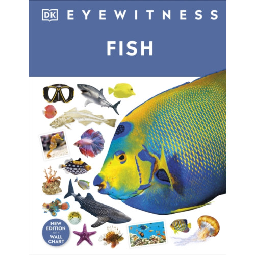 Dorling Kindersley Ltd Fish (inbunden, eng)