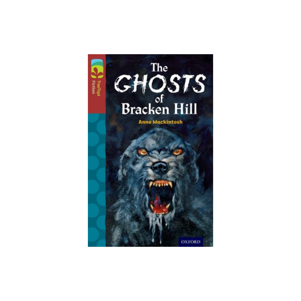 Produktbild för Oxford Reading Tree TreeTops Fiction: Level 15: The Ghosts of Bracken Hill (häftad, eng)