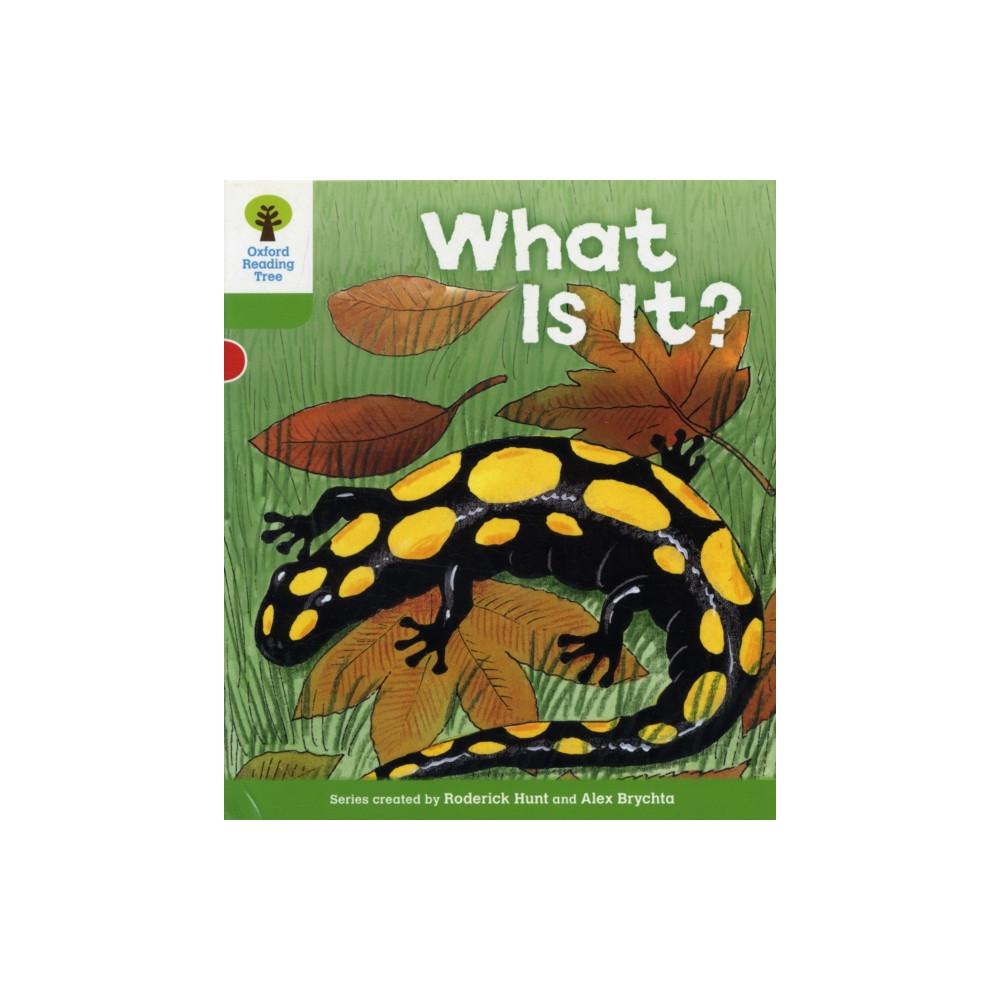 Produktbild för Oxford Reading Tree: Level 2: More Patterned Stories A: What Is It? (häftad, eng)