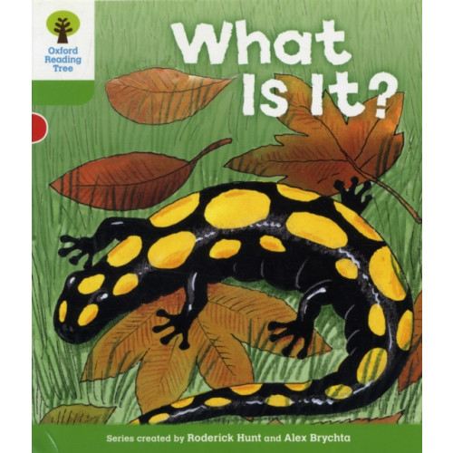 Oxford University Press Oxford Reading Tree: Level 2: More Patterned Stories A: What Is It? (häftad, eng)