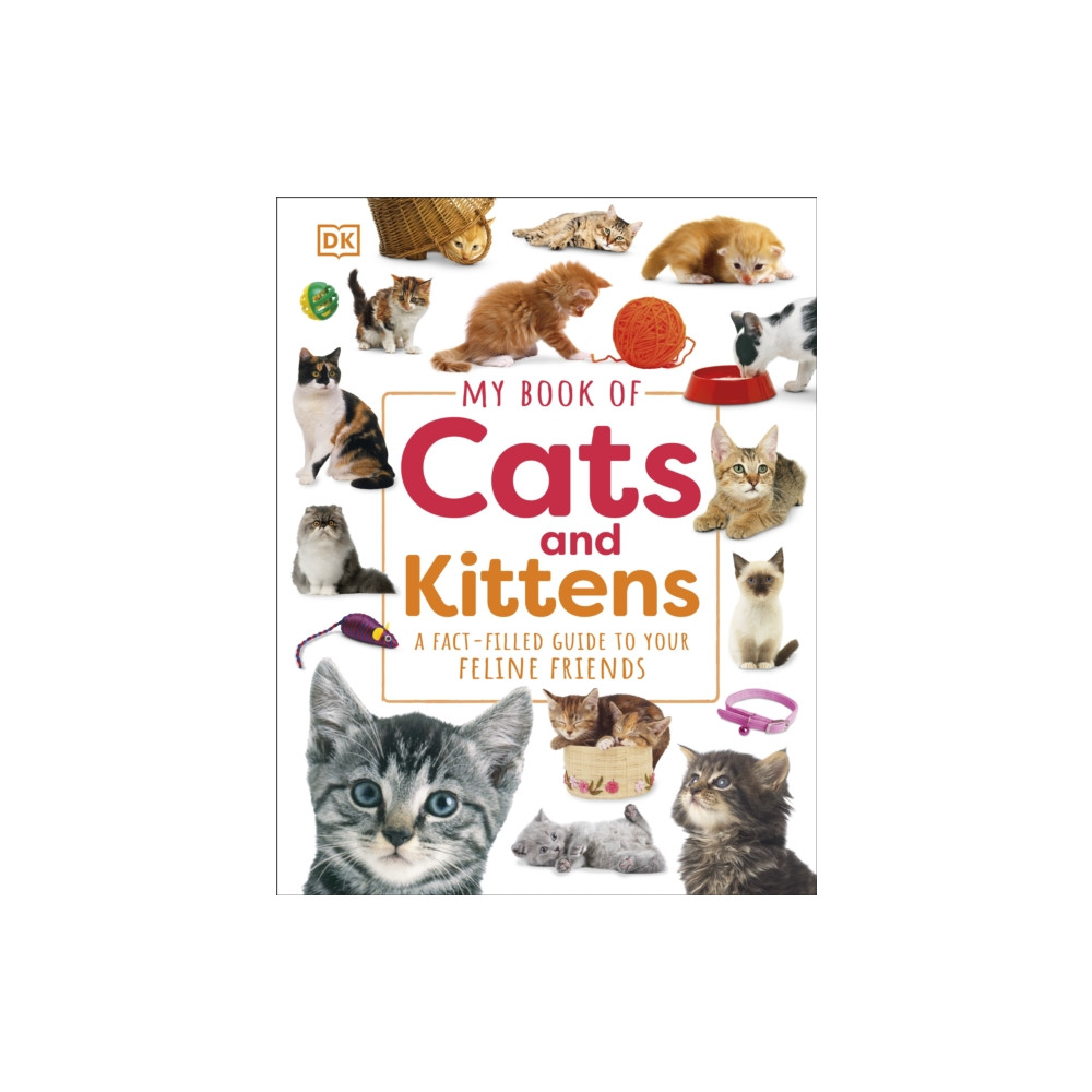 Produktbild för My Book of Cats and Kittens (inbunden, eng)