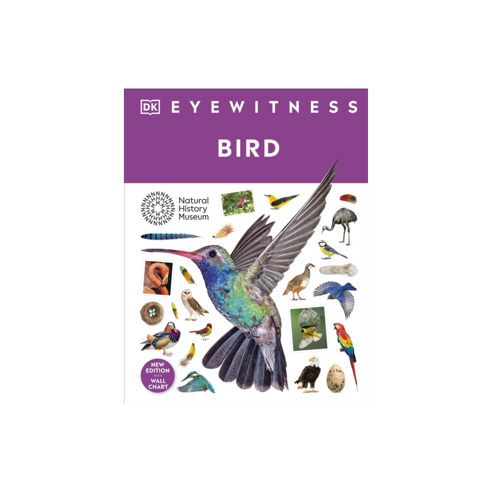 Produktbild för Bird (inbunden, eng)
