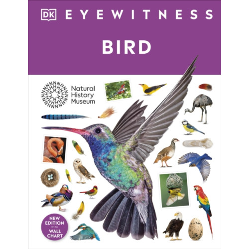 Dorling Kindersley Ltd Bird (inbunden, eng)