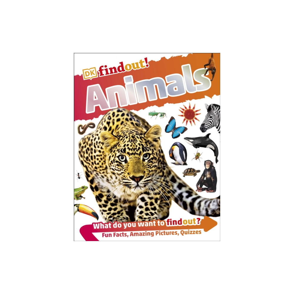 Produktbild för DKfindout! Animals (häftad, eng)