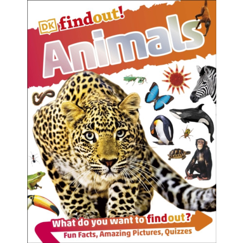 Dorling Kindersley Ltd DKfindout! Animals (häftad, eng)
