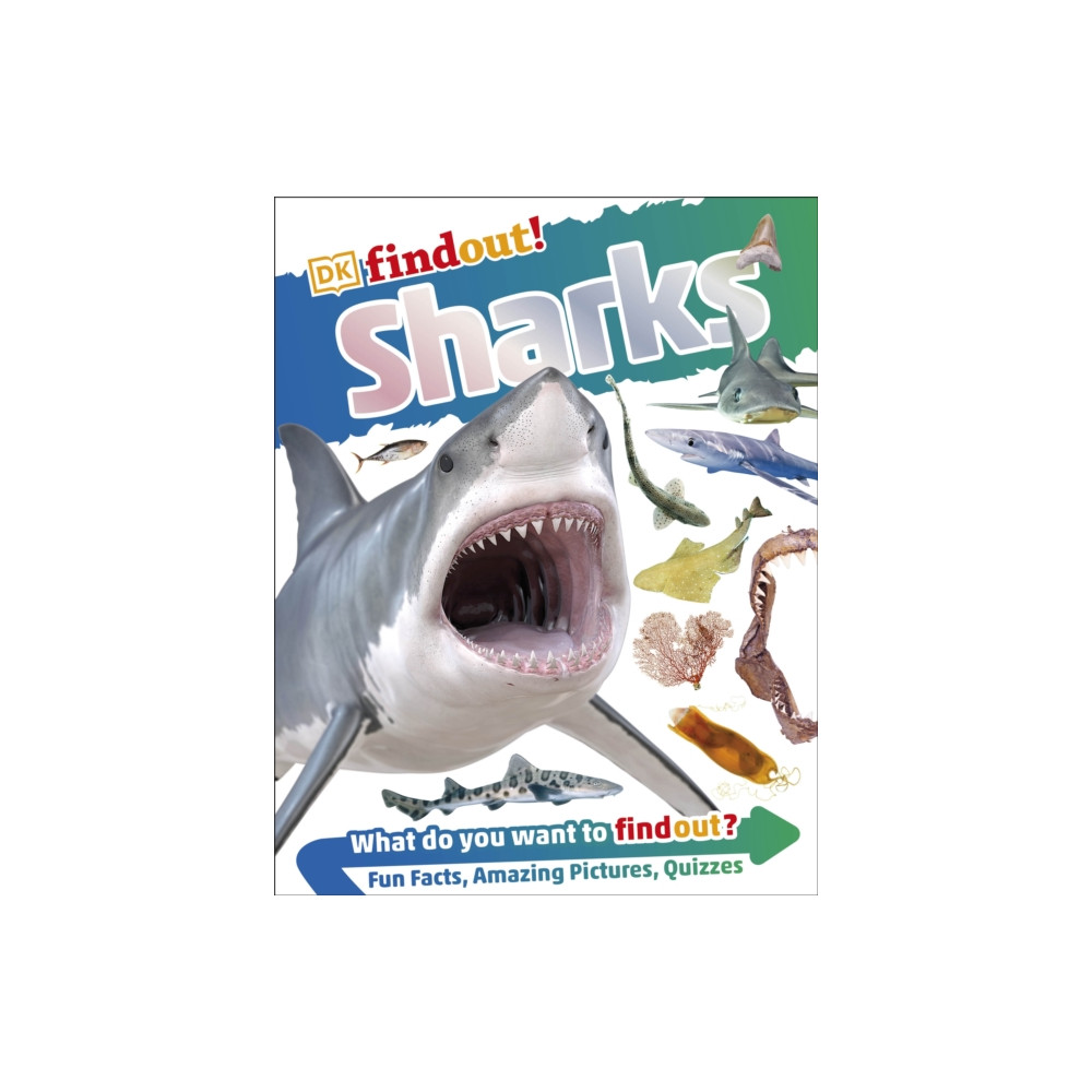 Produktbild för DKfindout! Sharks (häftad, eng)