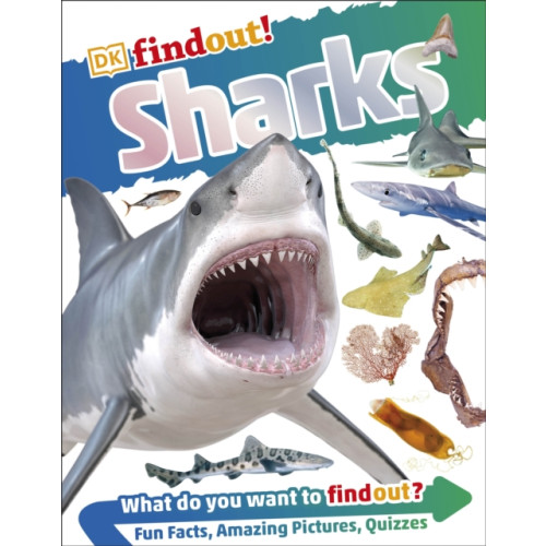 Dorling Kindersley Ltd DKfindout! Sharks (häftad, eng)