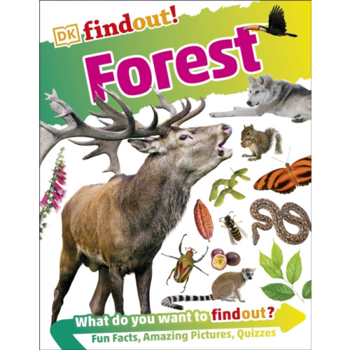 Dorling Kindersley Ltd DKfindout! Forest (häftad, eng)