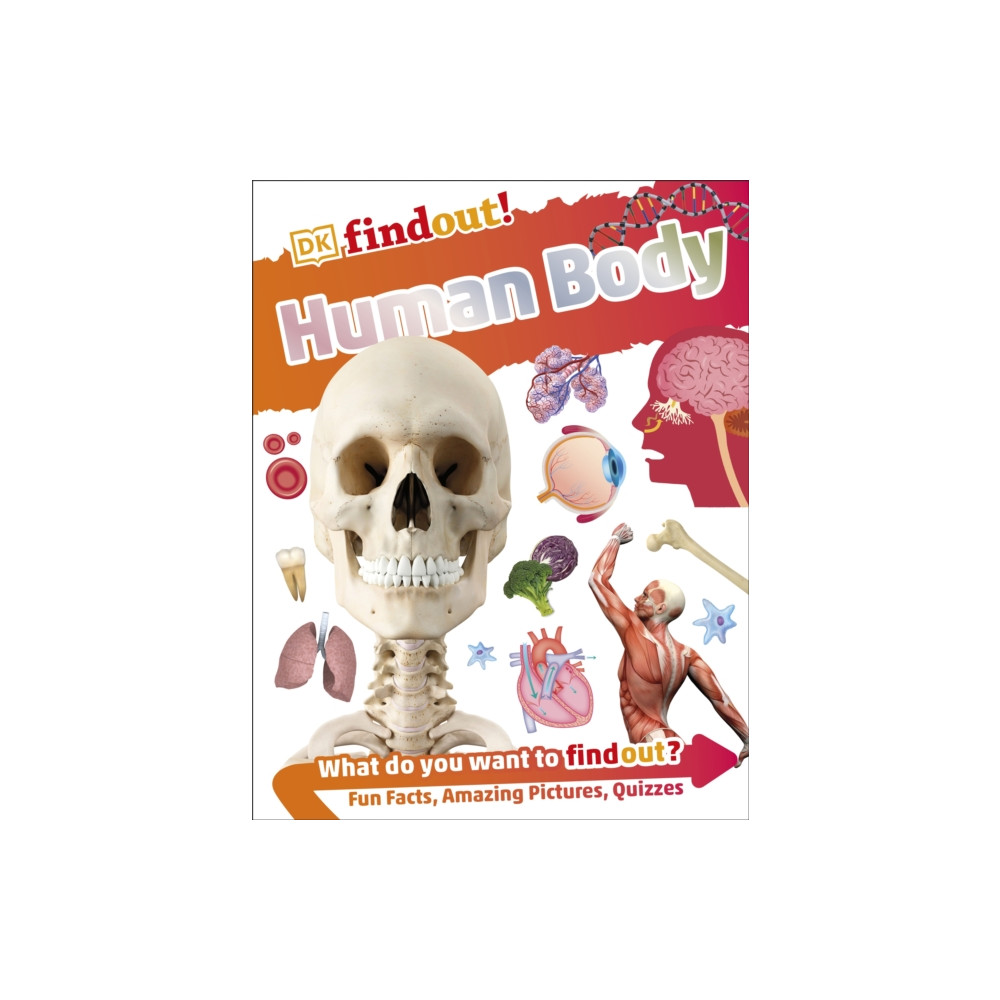 Produktbild för DKfindout! Human Body (häftad, eng)