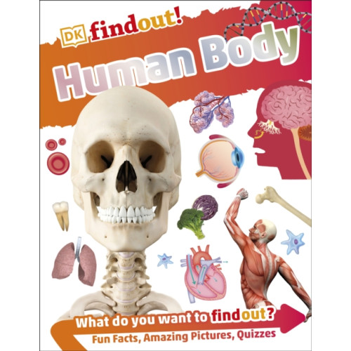 Dorling Kindersley Ltd DKfindout! Human Body (häftad, eng)