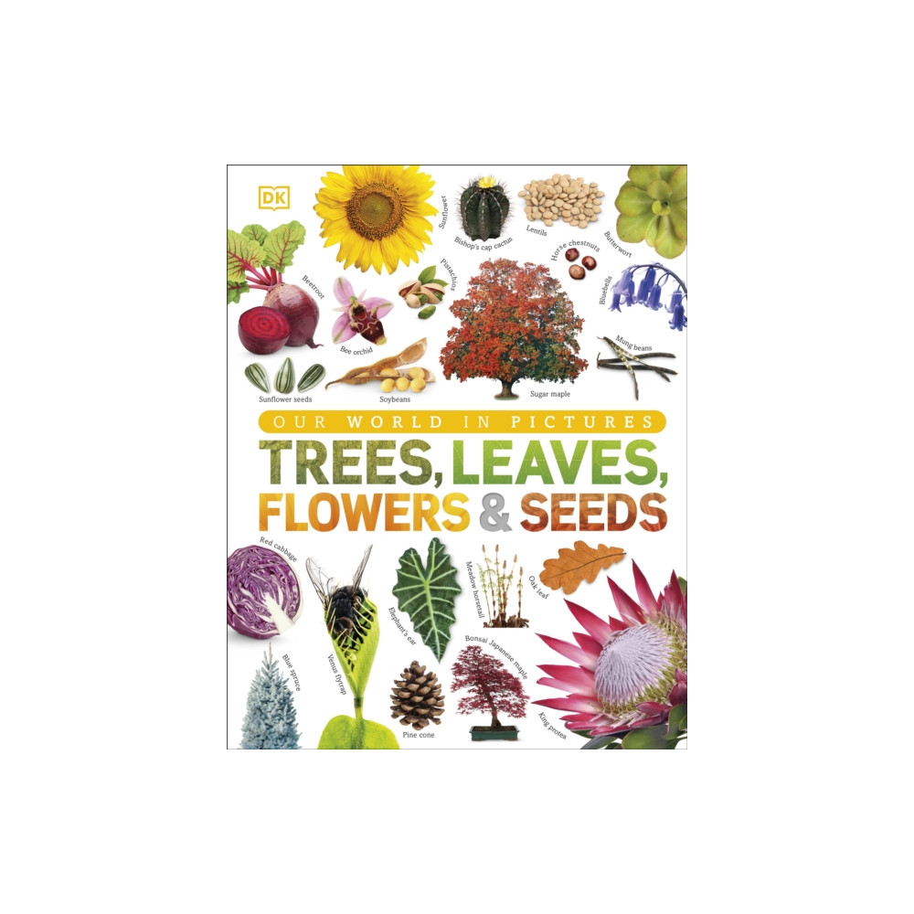 Produktbild för Trees, Leaves, Flowers & Seeds (inbunden, eng)