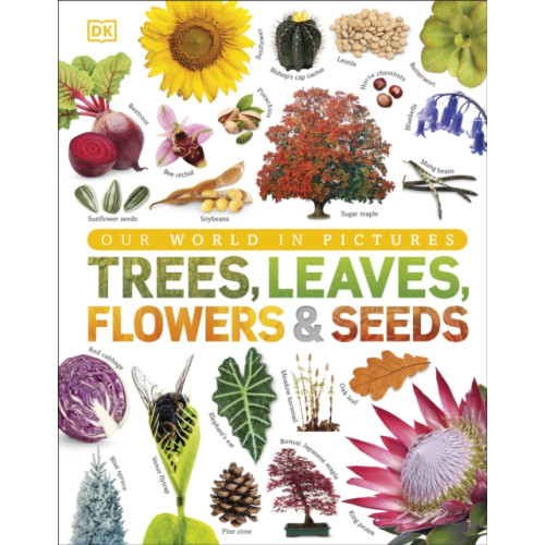 Dorling Kindersley Ltd Trees, Leaves, Flowers & Seeds (inbunden, eng)