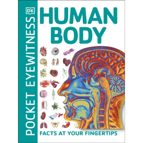 Dorling Kindersley Ltd Pocket Eyewitness Human Body (häftad, eng)