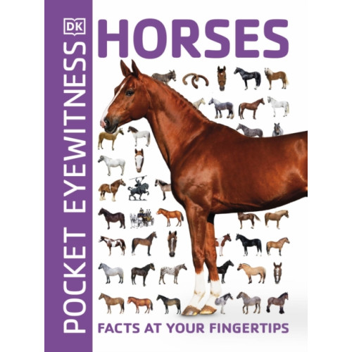 Dorling Kindersley Ltd Pocket Eyewitness Horses (häftad, eng)