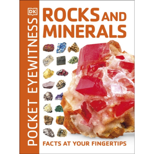 Dorling Kindersley Ltd Pocket Eyewitness Rocks and Minerals (häftad, eng)