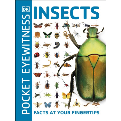Dorling Kindersley Ltd Pocket Eyewitness Insects (häftad, eng)