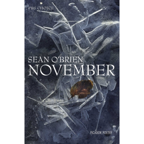 Pan Macmillan November (häftad, eng)