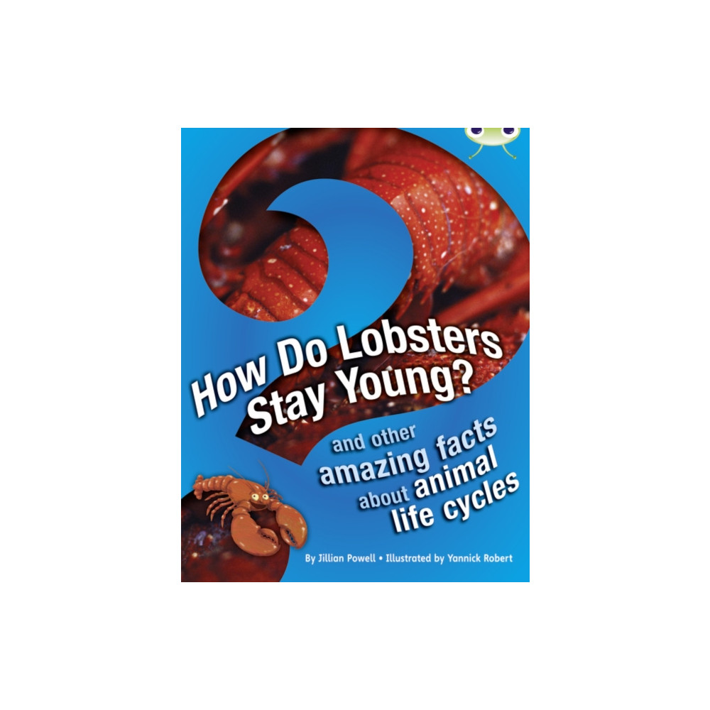 Produktbild för Bug Club Independent Non Fiction Year 3 Brown A How Do Lobsters Stay Young? (häftad, eng)