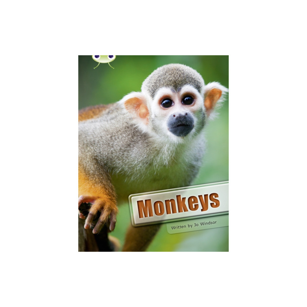 Produktbild för Bug Club Guided Non Fiction Year 3 White A Monkeys (häftad, eng)