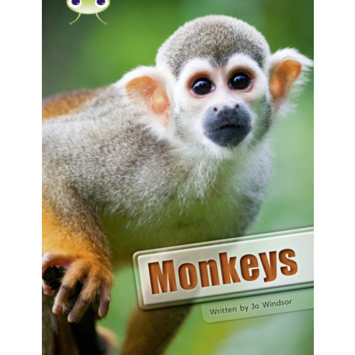 Pearson Education Limited Bug Club Guided Non Fiction Year 3 White A Monkeys (häftad, eng)
