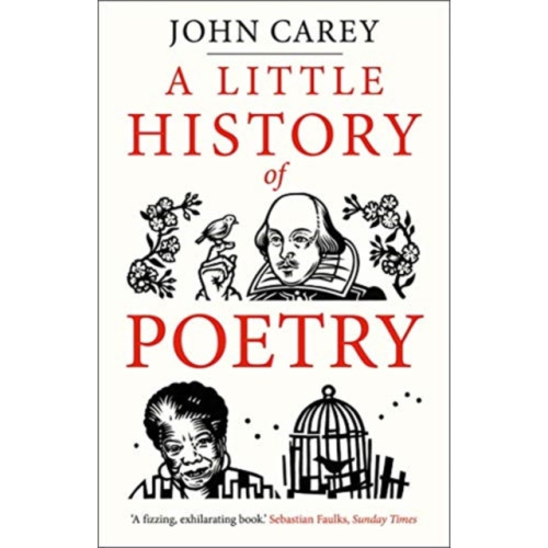 Yale university press A Little History of Poetry (häftad, eng)