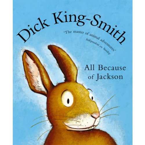 Penguin Random House Children's UK All Because of Jackson (häftad, eng)