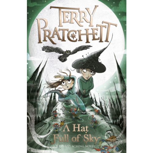 Penguin Random House Children's UK A Hat Full of Sky (häftad, eng)