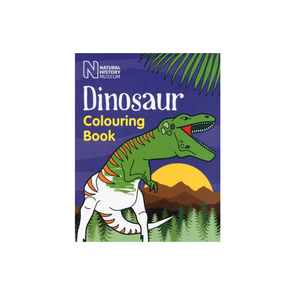 Produktbild för Dinosaur Colouring Book (häftad, eng)