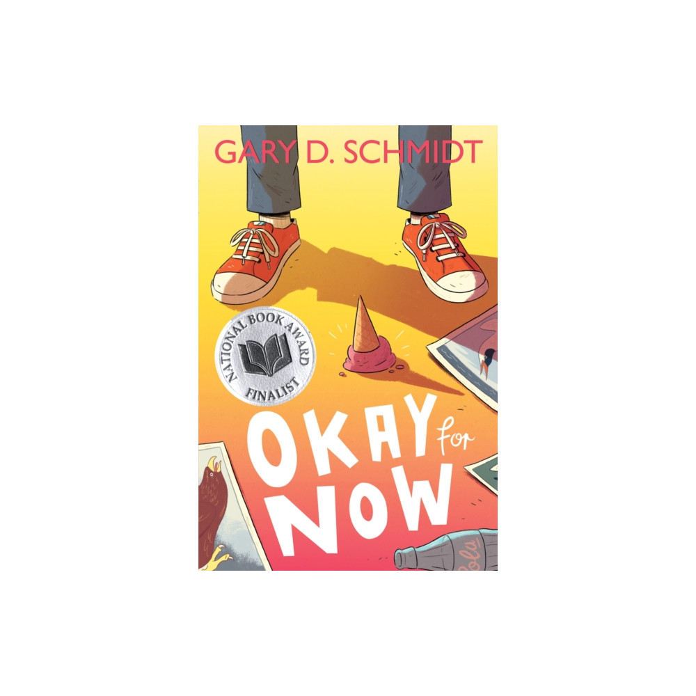 Produktbild för Okay for Now (häftad, eng)