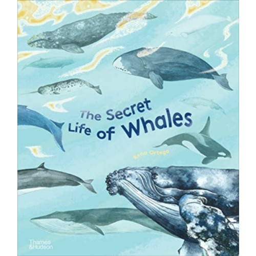 Thames & Hudson Ltd The Secret Life of Whales (inbunden, eng)