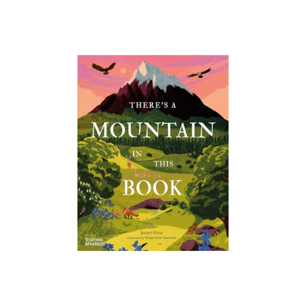 Produktbild för There's a Mountain in This Book (inbunden, eng)