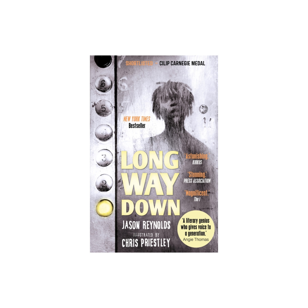 Produktbild för Long Way Down (häftad, eng)