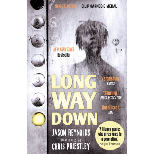 Faber & Faber Long Way Down (häftad, eng)