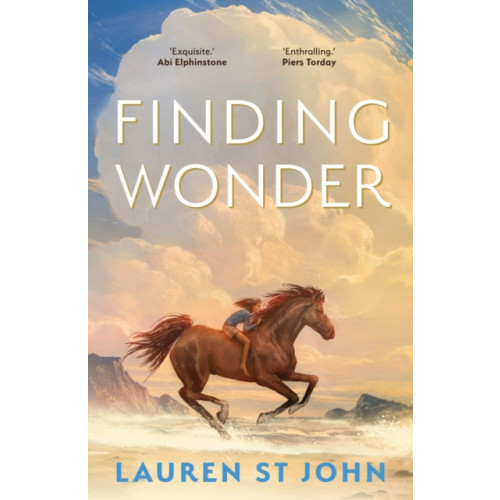 Faber & Faber Finding Wonder (häftad, eng)