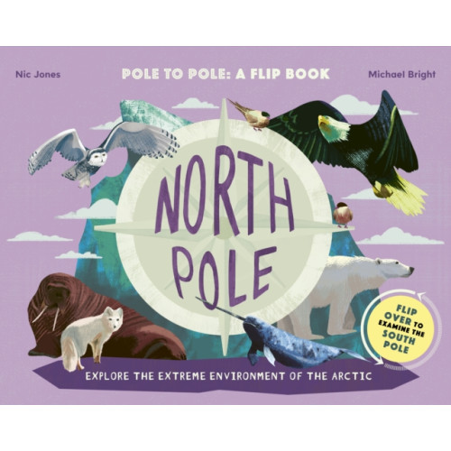 Quarto Publishing Plc North Pole / South Pole (inbunden, eng)