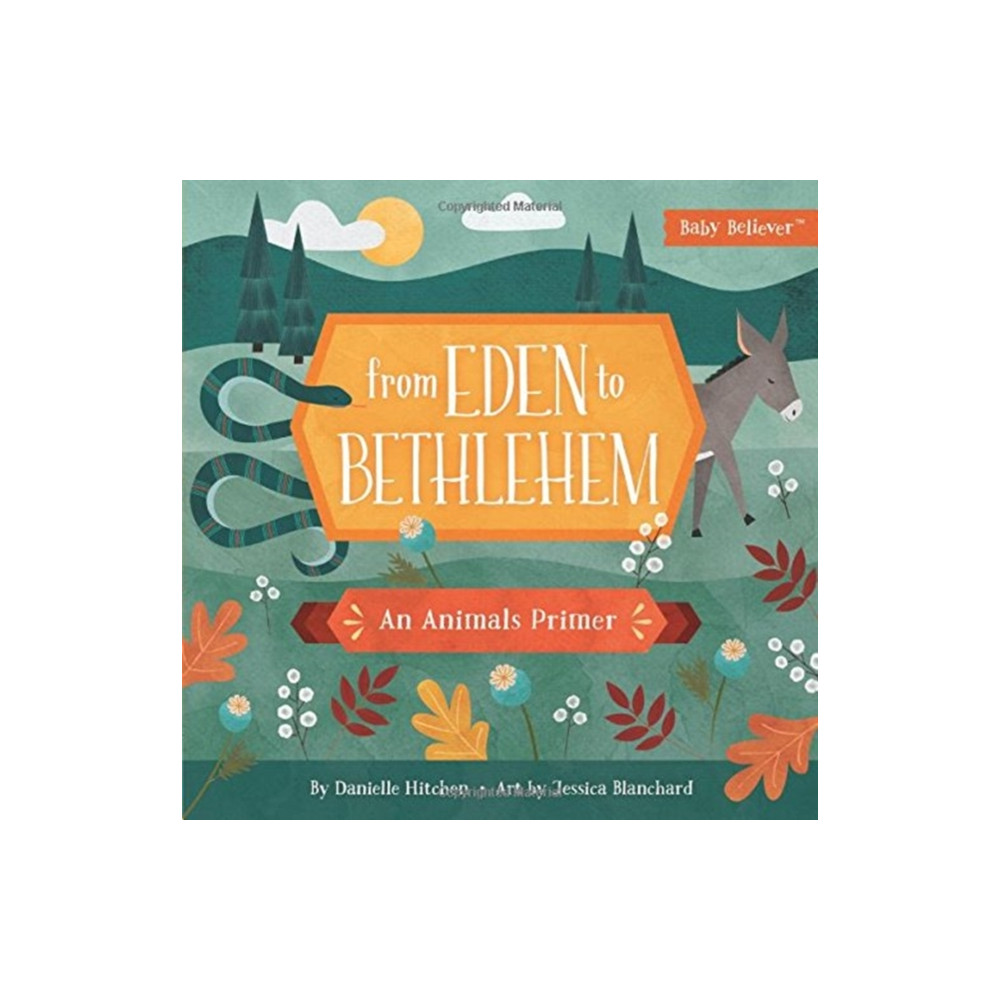 Produktbild för From Eden to Bethlehem (bok, board book, eng)