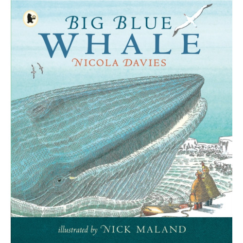 Walker Books Ltd Big Blue Whale (häftad, eng)