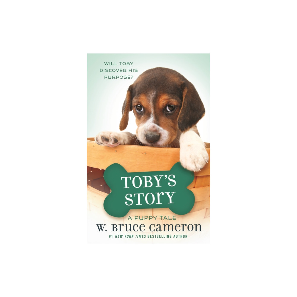 Produktbild för Toby's Story (inbunden, eng)