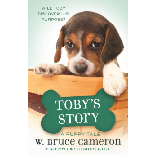 Tor Publishing Group Toby's Story (inbunden, eng)