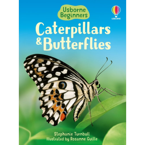 Usborne Publishing Ltd Caterpillars and Butterflies (inbunden, eng)