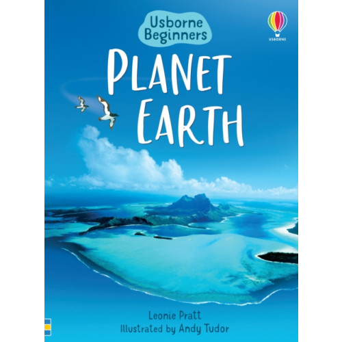 Usborne Publishing Ltd Planet Earth (inbunden, eng)