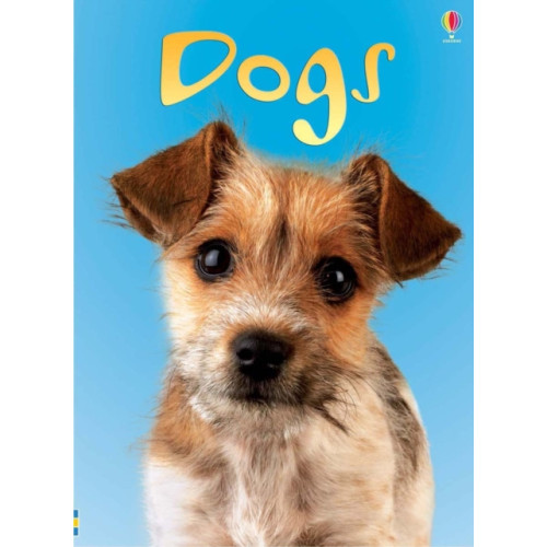 Usborne Publishing Ltd Dogs (inbunden, eng)