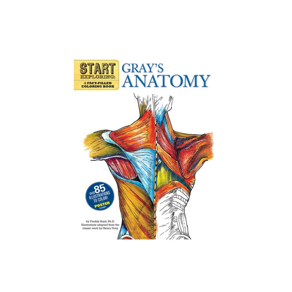 Produktbild för Start Exploring: Gray's Anatomy (häftad, eng)