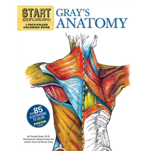 Running Press,U.S. Start Exploring: Gray's Anatomy (häftad, eng)