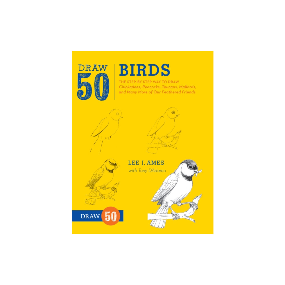Produktbild för Draw 50 Birds (häftad, eng)