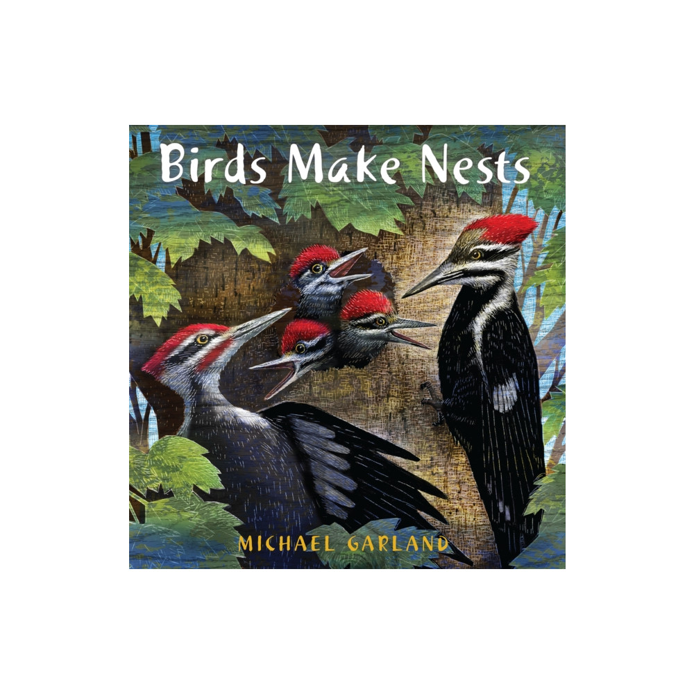 Produktbild för Birds Make Nests (häftad, eng)